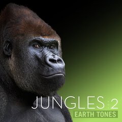 Album art for the SCORE album JUNGLES VOL 2