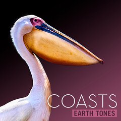 Album art for the SCORE album COASTS