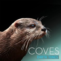 Album art for the SCORE album COVES