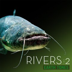 Album art for the SCORE album RIVERS VOL 2