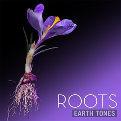 Album art for the SCORE album ROOTS