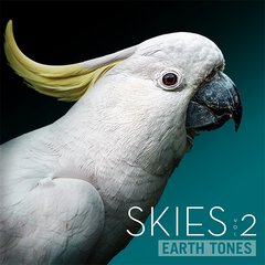 Album art for the SCORE album SKIES 2