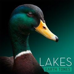 Album art for the SCORE album LAKES
