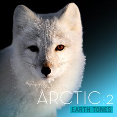 Album art for the SCORE album ARCTIC VOL 2