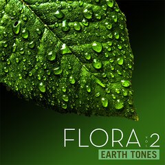 Album art for the SCORE album FLORA VOL 2