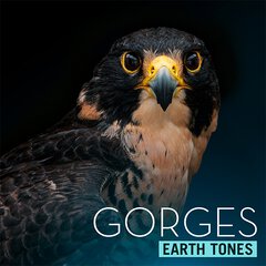 Album art for the SCORE album GORGES