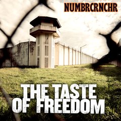Album art for the ROCK album THE TASTE OF FREEDOM by NUMBR CRNCHR