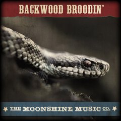 Album art for the COUNTRY album BACKWOOD BROODIN'
