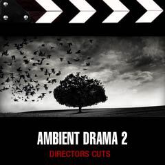 Album art for the SCORE item AMBIENT DRAMA 2 by GRAYSON VOLTAIRE.