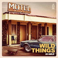 Album art for the POP album WILD THINGS by 28 GØLD