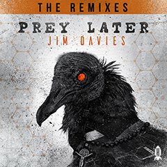 Album art for PREY LATER (THE REMIXES) by JIM DAVIES/DEX.