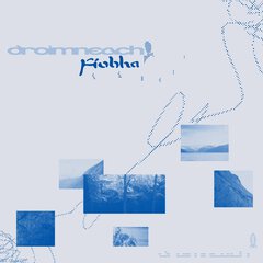 Album art for the ELECTRONICA item DROIMNEACH by FÍOBHA.