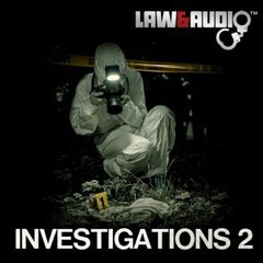 Album art for INVESTIGATIONS 2.