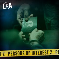 Album art for PERSONS OF INTEREST 2.