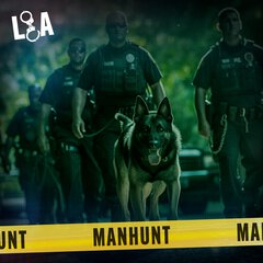 Album art for MANHUNT.