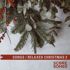 Album art for the HOLIDAY item RELAXED CHRISTMAS 2 SONGS by TOM TIDEWAY.