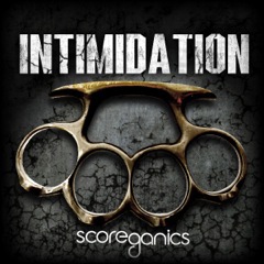 Album art for the ROCK item INTIMIDATION by RY CODA.