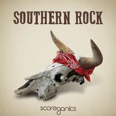 Album art for the ROCK item SOUTHERN ROCK by JIMMY ROCKIT.