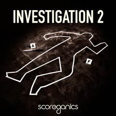 Album art for INVESTIGATION 2.