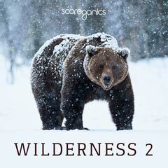 Album art for WILDERNESS 2.