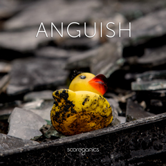 Album art for ANGUISH.