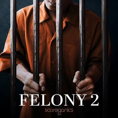 Album art for FELONY 2.