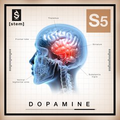 Album art for the SCORE item S5: DOPAMINE.