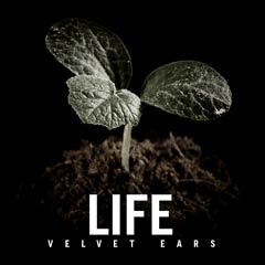 Album art for the CLASSICAL album LIFE