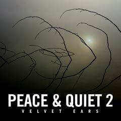 Album art for PEACE AND QUIET 2 by TAUBENBLAU.