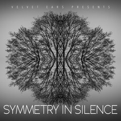 Album art for the CLASSICAL item SYMMETRY IN SILENCE.