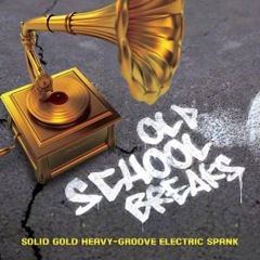 Album art for the EDM item OLD SKOOL BREAKS by STEPHEN A RASKIN.