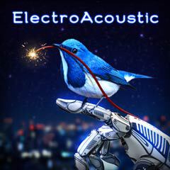 Album art for the ATMOSPHERIC item ELECTROACOUSTIC by OLIVER PRICE.