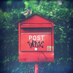 Album art for POST INDIE.