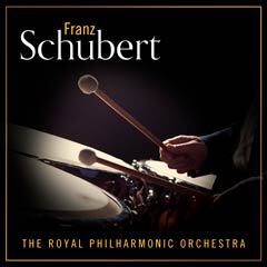 Album art for the CLASSICAL item SCHUBERT VOL 1 by FRANZ SCHUBERT.