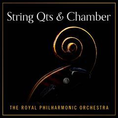 Album art for the CLASSICAL item STRING QTS & CHAMBER MUSIC by ALEXANDER BORODIN.