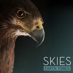 Album art for SKIES.