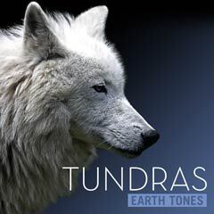 Album art for TUNDRAS.