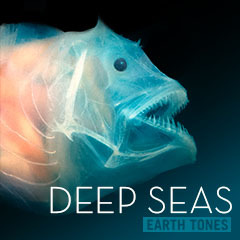 Album art for DEEP SEAS.
