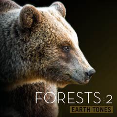 Album art for FORESTS VOL 2.