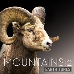 Album art for MOUNTAINS VOL 2.