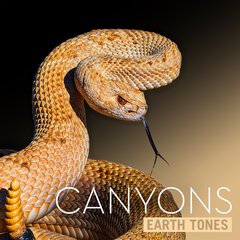 Album art for CANYONS.