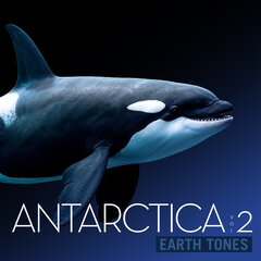 Album art for ANTARCTICA VOL. 2.