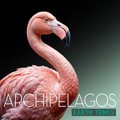 Album art for ARCHIPELAGOS.
