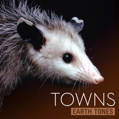 Album art for TOWNS.