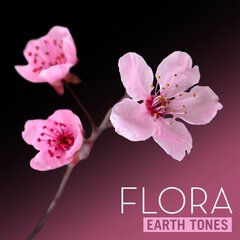Album art for FLORA.