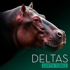 Album art for DELTAS.