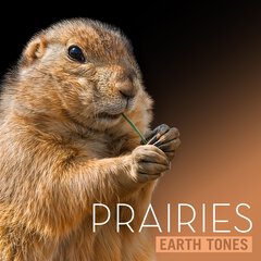 Album art for PRAIRIES.