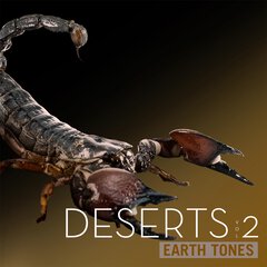 Album art for DESERTS 2.
