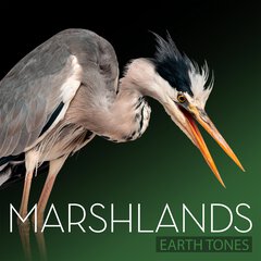 Album art for MARSHLANDS.