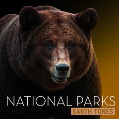 Album art for NATIONAL PARKS.